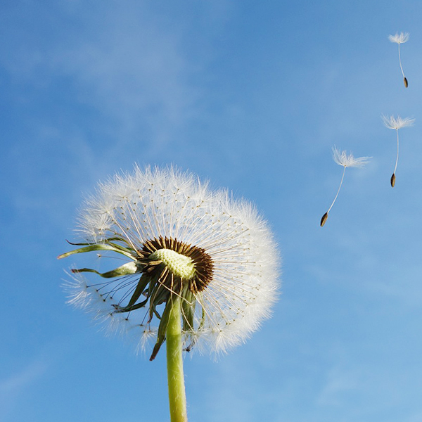 首页-suncitygroup太阳集团官方网站